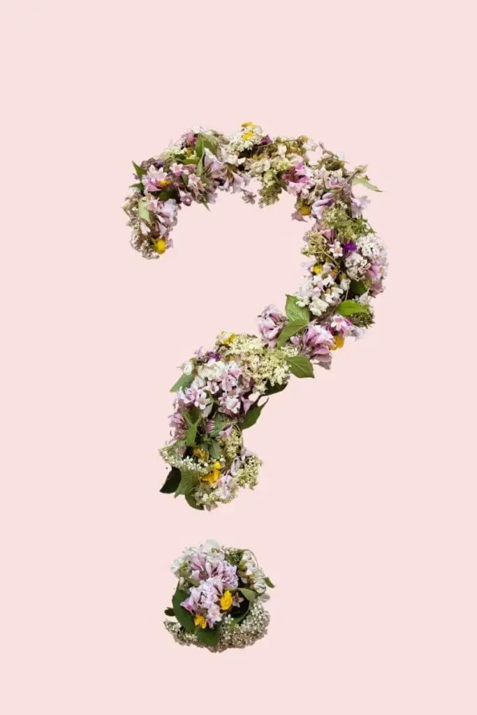 FAQ Question Nutrithérapie Approche psycho-corporelle